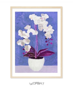 Orquídeas 60x85 - Wombat