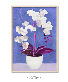 Orquídeas 60x85 CAJA - comprar online