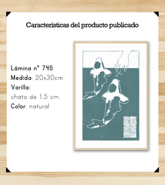 Koi 20x30 - comprar online