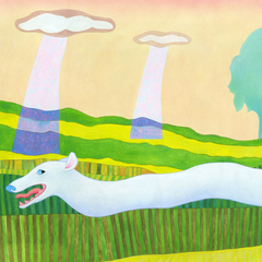 Lanza la pelota! 50x70 - Wombat