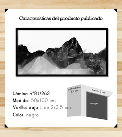 Paisaje Tonal en negro pleno - comprar online
