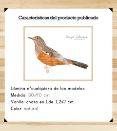 Pájaros de madera 30x40