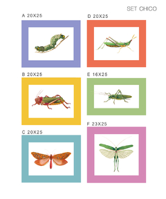 Bichos - chico / descuento set