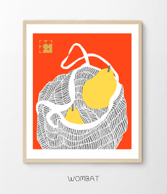 Crochet (vivos) - Wombat