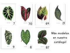 Botánicos Hojas - 30x40 en internet