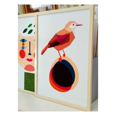 Hornero - Pájaros de madera en internet