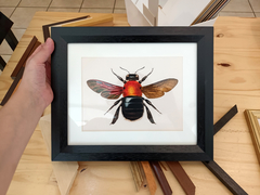 Insectos en internet