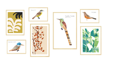 Aves y Plantas Grabadas Set