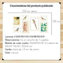 Aves y Plantas Grabadas Set en internet