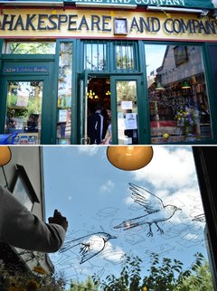 Proyecto Ventanas - comprar online