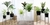 Carrusel Ruahhomedeco