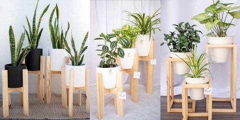 Carrusel Ruahhomedeco