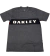 CAMISETA OAKLEY ESPECIAL - LETREIRO CINZA ESCURO