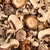Hongos Shiitake Enteros (50 gr.)