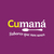 Bananas Chip Cumaná (100 gr.) - comprar online