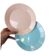 Plato plástico x10 unidades del mismo color (rosa pastel o celeste pastel)