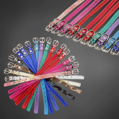 Collar de Cuero MIO CANE en internet