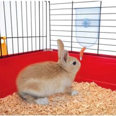 IMAC Bebedero Misti Bibber Roedores en internet