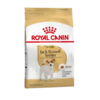 Royal Canin Jack Russell Adulto