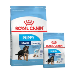 Royal Canin Maxi Puppy