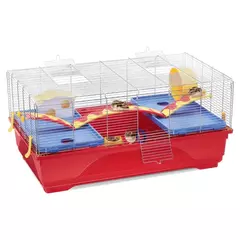 Hamstera Criceti 16