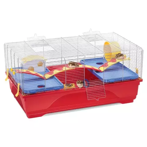 Hamstera Criceti 16