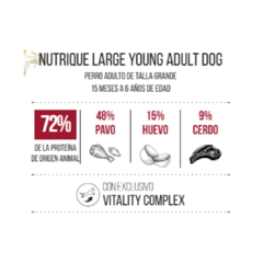 Nutrique Large Young Adult - comprar online