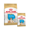 Royal Canin Bulldog Inglés Cachorro