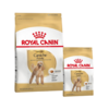 Royal Canin Caniche Adulto