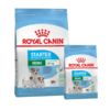 Royal Canin Mini Starter