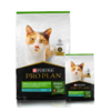 Pro Plan Gato Sensitive Skin and Stomach