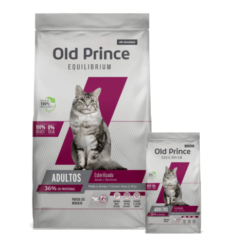 Old Prince Equilibrium Gato Esterilizado