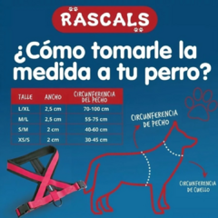 Imagen de RASCALS ARNES PERRO PREMIUM