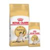 Royal Canin Gato Siamese