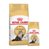 Royal Canin Gato Persian