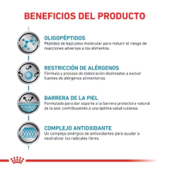 Royal Canin Anallergenic Gato - comprar online