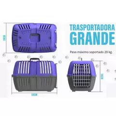 TRANSPORTADORA NACIONAL PUERTA METALICA en internet