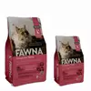 Fawna Gato Esterilizado