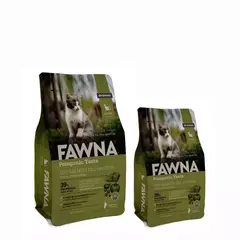 Fawna Gato Kitten