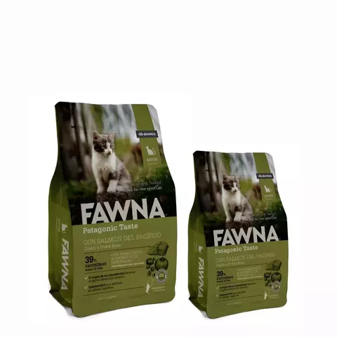 Fawna Gato Kitten
