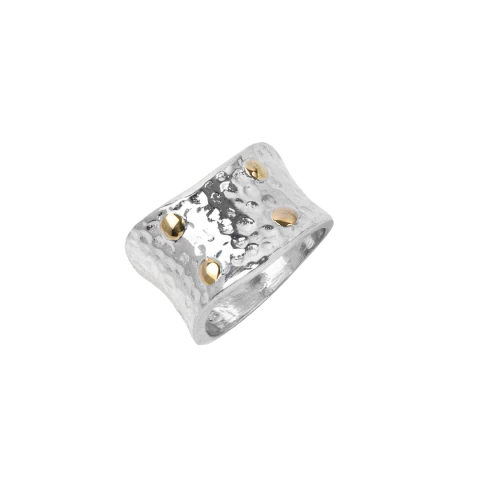 Anillo de Plata con detalles en Oro (1619C)