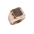 Anillo de Oro Hombre Sello (A803D)