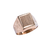Anillo de Oro Hombre Sello (A806D) en internet