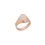 Anillo de Oro Hombre (A719D)