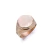Anillo de Oro Hombre Sello (A807D)