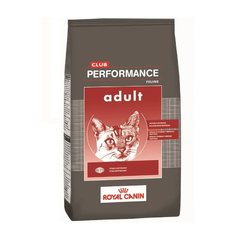 PERFORMANCE CAT ADULTO 1.5KG