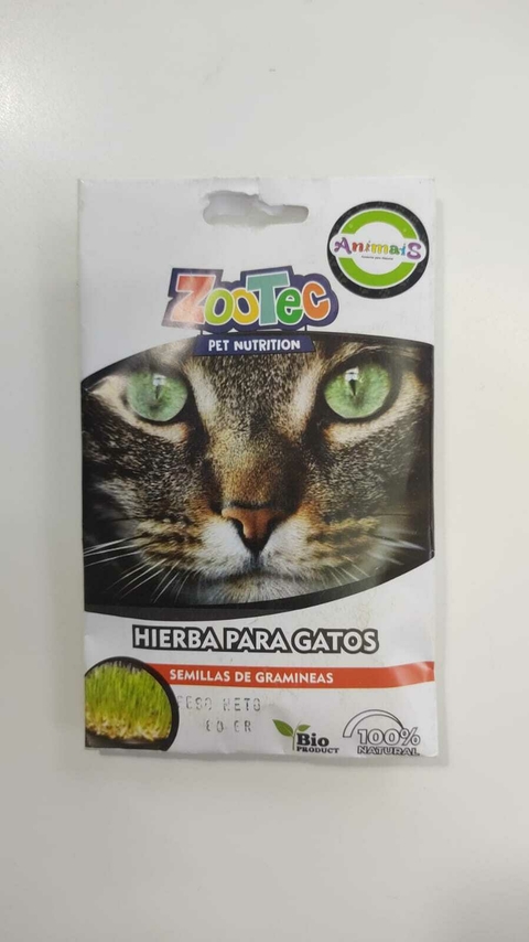 SEMILLAS HIERBA GATERA SOBRE ZOOTEC