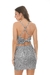 Conjunto BLOSSOM en internet