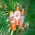 VAIS Repelente en spray 120ml - comprar online