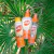 Repelente Spray 200ml Vais - Algabo Shop
